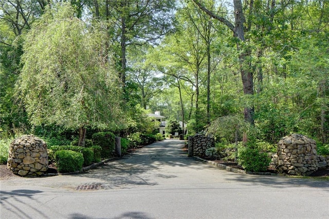 65 Knotty Pine Rd, Tiverton, RI 02878 - photo 50