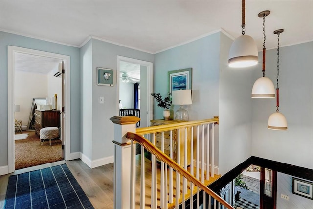 65 Knotty Pine Rd, Tiverton, RI 02878 - photo 20