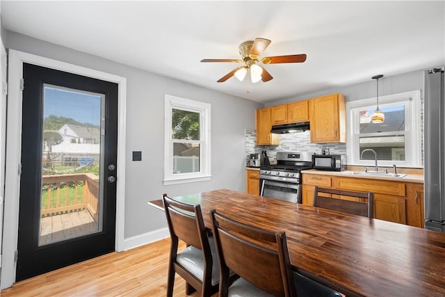 166 Midwood St, Cranston, RI 02910 - kitchen featuring stainless steel appliances, under cabinet range hood, light wood-type flooring, tasteful backsplash, and ceiling fan