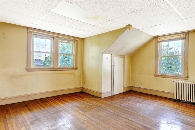 59 Colonial Ave, Cranston, RI 02910 - bonus room featuring radiator, hardwood / wood-style floors, and vaulted ceiling