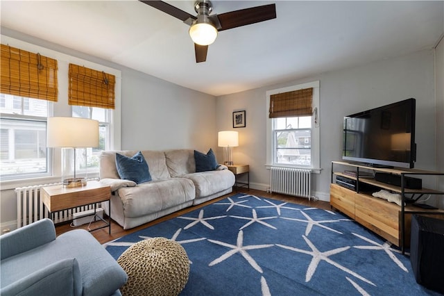 39 Chester Ave, Westerly, RI 02891 - living room with radiator heating unit, a ceiling fan, and wood finished floors