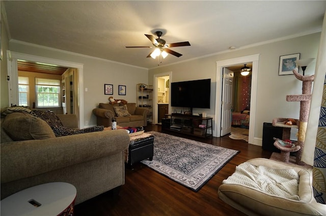 318 Saint Paul St, North Smithfield, RI 02896 - living room with ceiling fan, dark wood-style floors, and crown molding