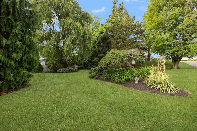 25 Rosewood Dr, North Providence, RI 02904 - view of grassy yard