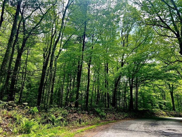 223 Reservoir Rd, Smithfield, RI 02859 - photo 17