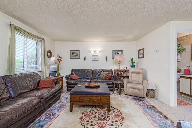 66 Girard Ave Unit 322, Newport, RI 02840 - living area with a textured ceiling and carpet flooring