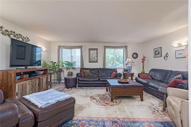 66 Girard Ave Unit 322, Newport, RI 02840 - living room with a textured ceiling, a baseboard radiator, and carpet floors