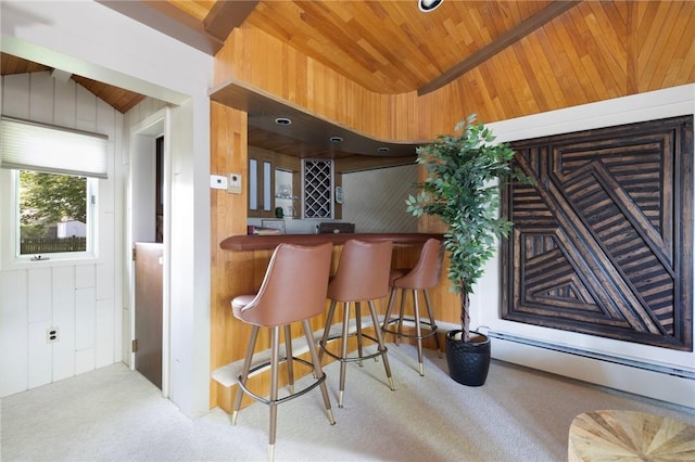 6 Lachance Ave, Warwick, RI 02889 - indoor dry bar featuring carpet flooring, wood walls, a baseboard radiator, and wooden ceiling