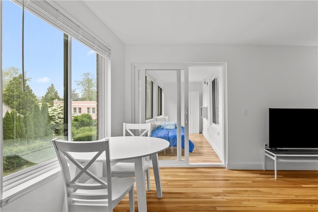 401 Bellevue Ave Unit 214, Newport, RI 02840 - dining area with light wood finished floors