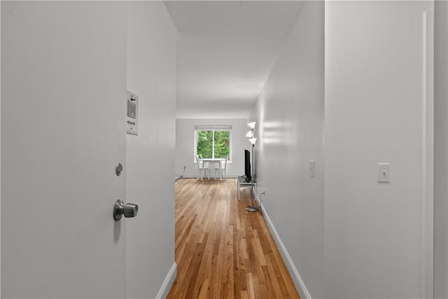 401 Bellevue Ave Unit 214, Newport, RI 02840 - hallway featuring light wood-type flooring and baseboards