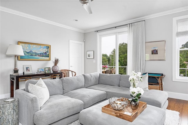 100 Algonquin Rd Unit 5, Narragansett, RI 02882 - living area with wood finished floors, ornamental molding, and ceiling fan