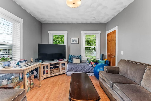 15 N St, Warwick, RI 02886 - living room with light wood-type flooring