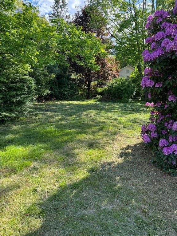 79 Cucumber Hill Rd, Foster, RI 02825 - view of grassy yard