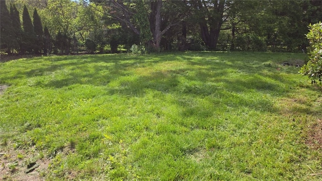 79 Cucumber Hill Rd, Foster, RI 02825 - view of green lawn