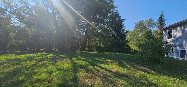 79 Cucumber Hill Rd, Foster, RI 02825 - photo 27