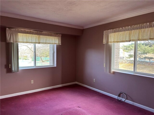 200 Hoffman Ave Unit 206, Cranston, RI 02920 - unfurnished room featuring plenty of natural light, carpet floors, and ornamental molding