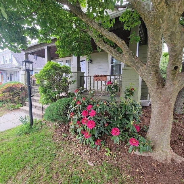 25 Sheffield Ave, North Providence, RI 02911 - view of property hidden behind natural elements featuring covered porch