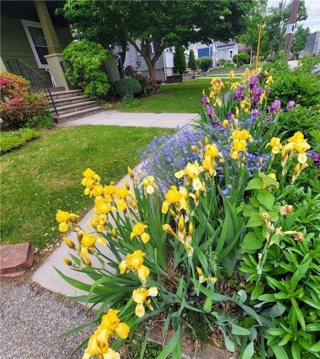 25 Sheffield Ave, North Providence, RI 02911 - view of green lawn