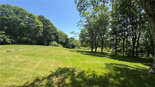 815 Beacon Hill Rd, Block Island, RI 02807 - view of green lawn
