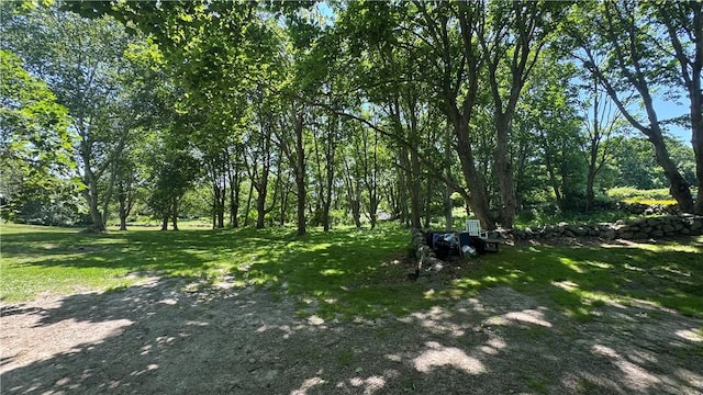 815 Beacon Hill Rd, Block Island, RI 02807 - view of local wilderness