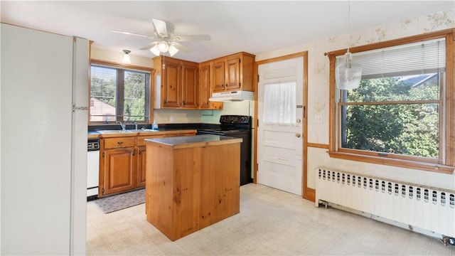 92 Glendale Dr, West Warwick, RI 02893 - kitchen with radiator, under cabinet range hood, black / electric stove, and light floors