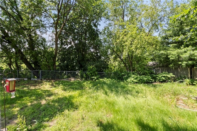 10 Sacramento St, Providence, RI 02909 - view of yard