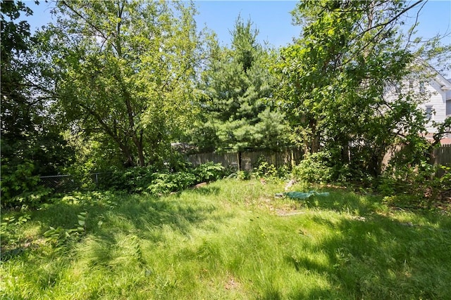 10 Sacramento St, Providence, RI 02909 - view of undeveloped land