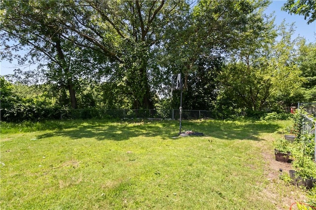10 Sacramento St, Providence, RI 02909 - view of yard