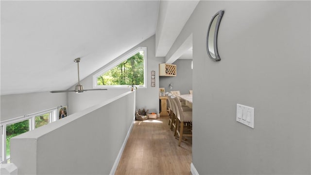 14 Deer Run Dr, Coventry, RI 02816 - hallway featuring light wood finished floors, plenty of natural light, and vaulted ceiling