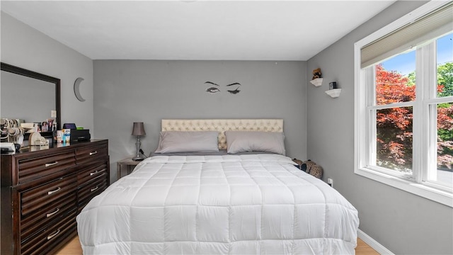 14 Deer Run Dr, Coventry, RI 02816 - bedroom with multiple windows and wood finished floors