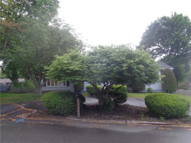 155 Lewiston St, Warwick, RI 02889 - view of property hidden behind natural elements