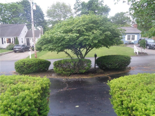 155 Lewiston St, Warwick, RI 02889 - view of grassy yard