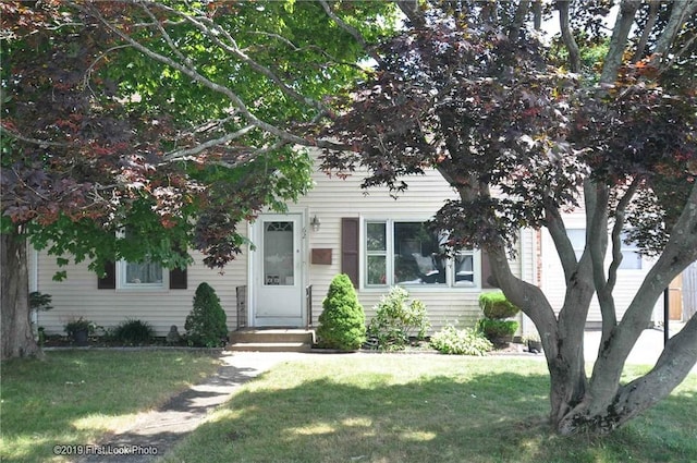 62 Stone Ave, Warwick, RI 02889 - view of property hidden behind natural elements with a front yard
