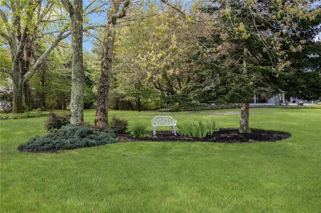 34 Finch Ln, North Kingstown, RI 02874 - view of grassy yard