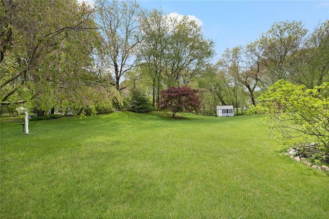 34 Finch Ln, North Kingstown, RI 02874 - view of green lawn featuring a storage shed