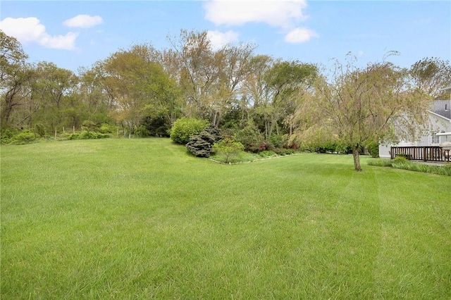 34 Finch Ln, North Kingstown, RI 02874 - view of green lawn
