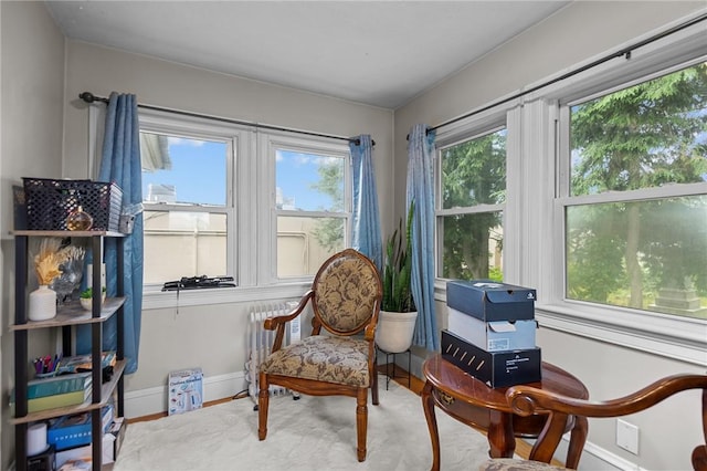 690 Killingly St, Johnston, RI 02919 - photo 19