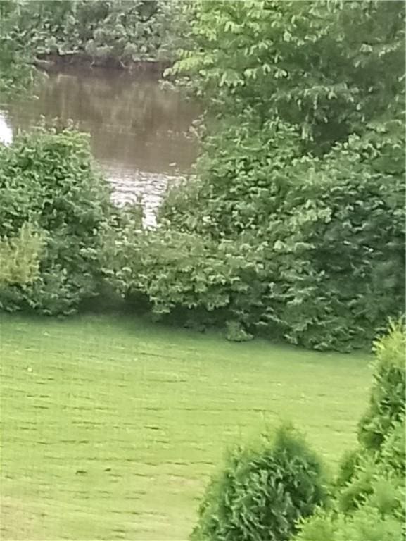 510 Child St Unit 106C, Warren, RI 02885 - view of yard