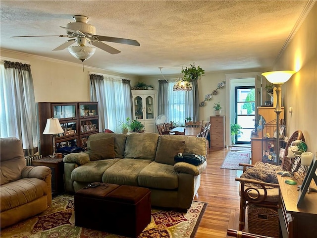 27 Highland St, Cranston, RI 02920 - living room with a textured ceiling, wood finished floors, crown molding, and ceiling fan