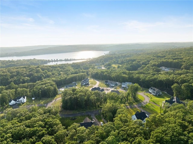 3 Kelsey Eden Way, Cumberland, RI 02864 - view of property location featuring a large body of water and a heavily wooded area