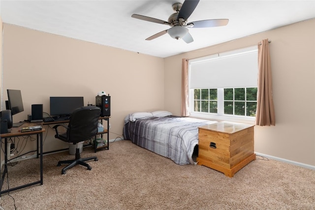 650 Hopkins Hill Rd, West Greenwich, RI 02817 - photo 22