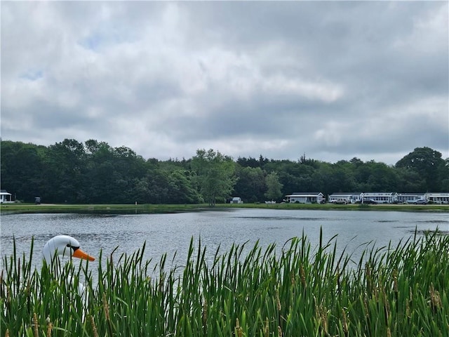 118 Dunns Corner Rd, Westerly, RI 02891 - photo 35