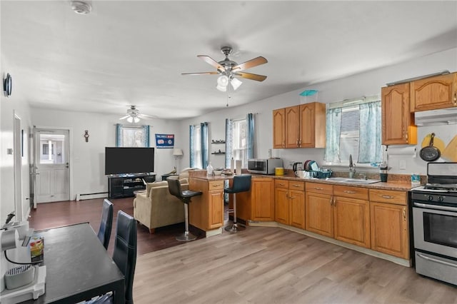 18 Ortoleva Dr, Providence, RI 02909 - kitchen featuring stainless steel appliances, under cabinet range hood, a ceiling fan, a baseboard radiator, and light wood-style flooring