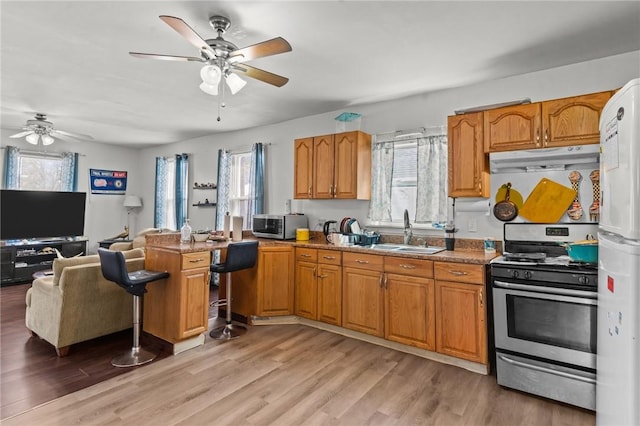 18 Ortoleva Dr, Providence, RI 02909 - kitchen with stainless steel appliances, ceiling fan, under cabinet range hood, and a peninsula