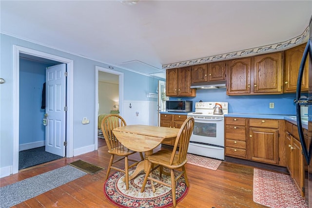 223 Mautucket Rd, South Kingstown, RI 02879 - kitchen with white electric range oven, stainless steel microwave, under cabinet range hood, and dark wood-style flooring