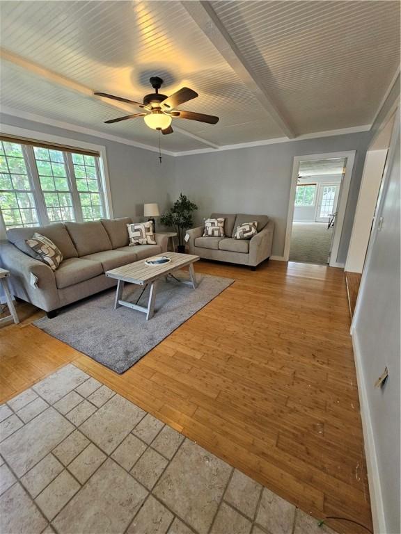 41 Park Ln, Coventry, RI 02816 - living room featuring wood-type flooring, a ceiling fan, and crown molding