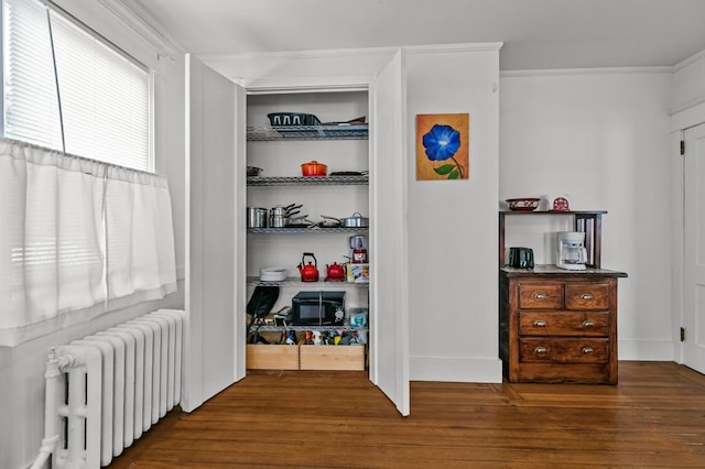 32 Thurston Ave Unit A, Newport, RI 02840 - closet featuring radiator heating unit