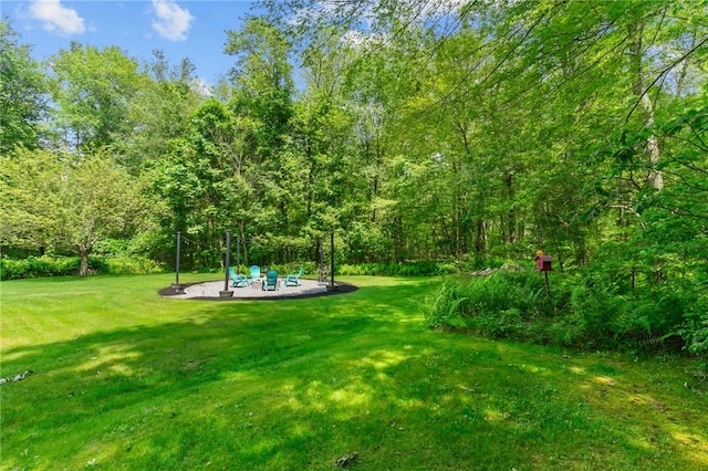 8 Anthony Rd, Foster, RI 02825 - view of green lawn