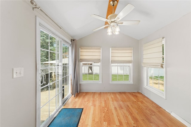 49 Cottage Grove Ave, Warwick, RI 02889 - photo 6