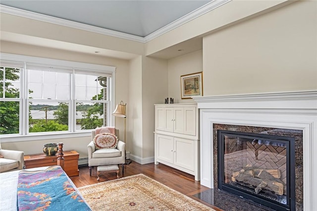 583 Highland Rd, Tiverton, RI 02878 - living area with dark wood-style floors, crown molding, a fireplace, and a baseboard radiator