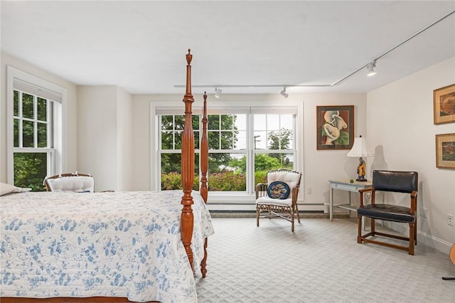 583 Highland Rd, Tiverton, RI 02878 - bedroom with rail lighting, multiple windows, and carpet flooring